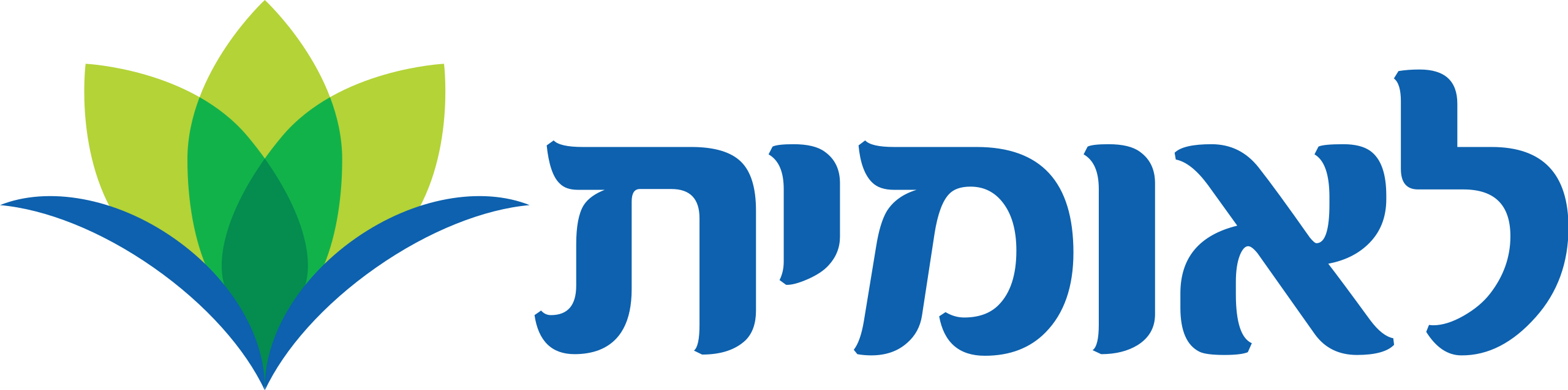 2560px-Leumit_New_Logo.svg